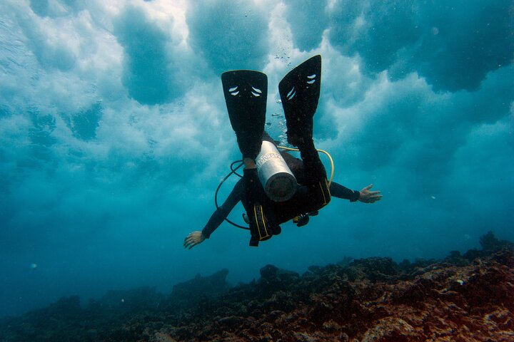 Discover Scuba Diving in Cancun: A Personalized Beginner's Adventure!