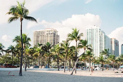 Miami & Everglades: An Exclusive Full-Day Private Adventure!