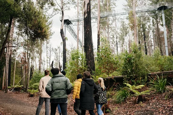 Hobart: 4-Day Tour Bundle - Island, History & Nature!
