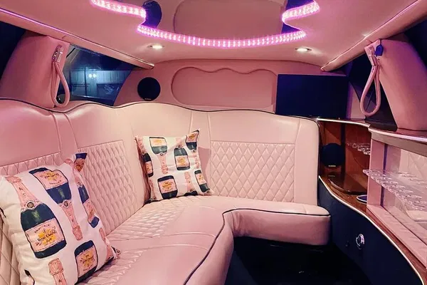 Pink Limo Wine Tour: Fredericksburg's Premier Vineyard Experience