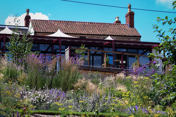 Experience Image img4