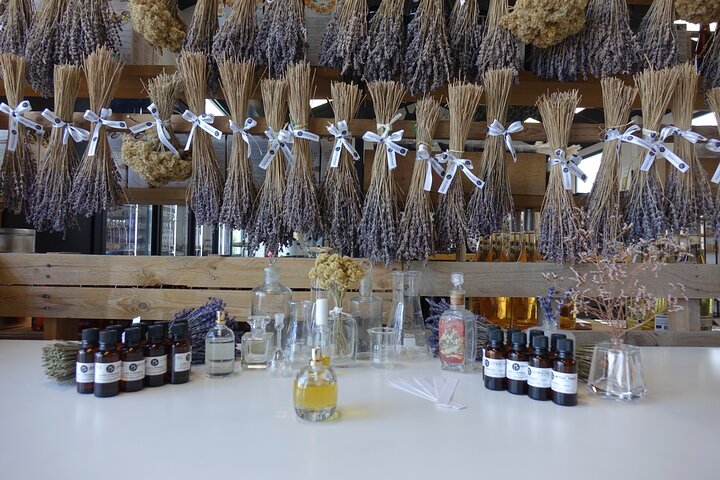 Experience Image img2