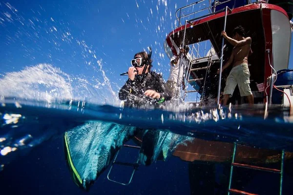 Ko Lanta's Underwater World: Discover Scuba Diving Adventure