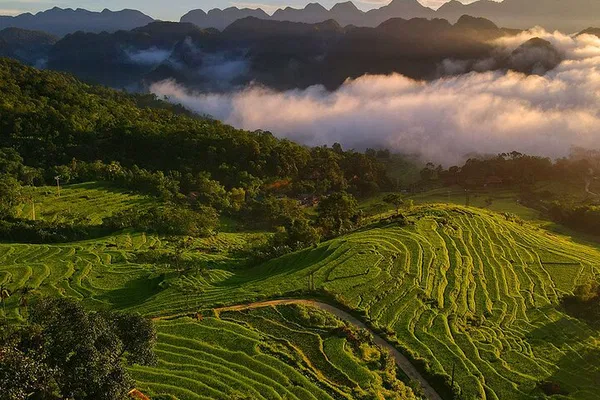 Escape to Pu Luong: A 2-Day Nature & Culture Immersion from Hanoi