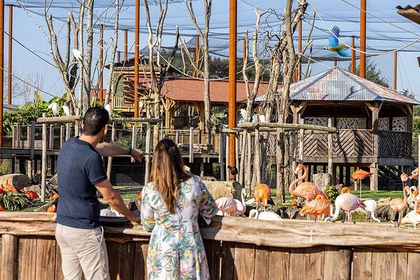 Discover South American Wildlife Wonders: Parrot World Adventure Near Paris