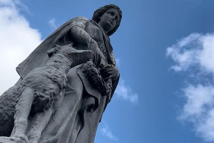 Experience Image img4