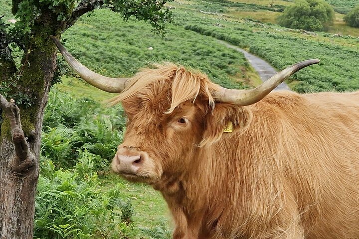 Experience Image img4