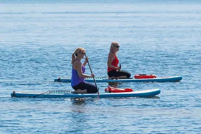 Daytona Beach: Paddleboard with Dolphins & Manatees!