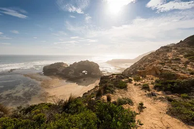 Mornington Peninsula Private Tour: Coastal Views & Charm