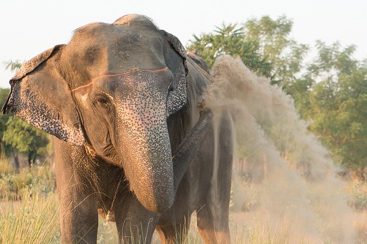 Experience Image img2