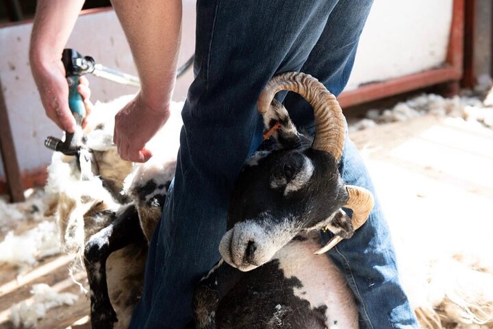 Experience Image img3