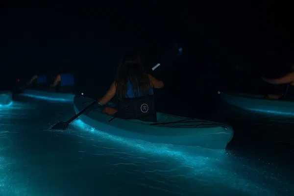 Cocoa Beach Kayak Adventure: Dolphins, Manatees & Bioluminescence!