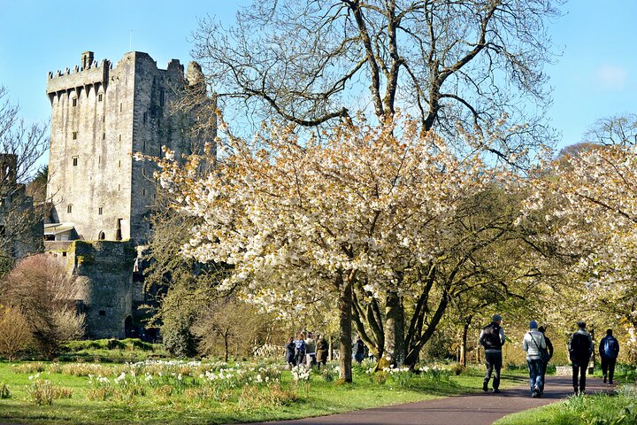 Seamless Ireland Transfers: Cork to Dublin Private Taxi Experience