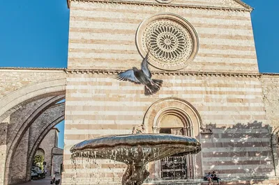 Assisi Tour: Walk with a Local to St. Francis Basilica