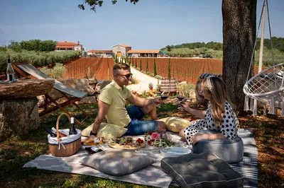 Istrian Wine Picnic: Relax & Unwind in Belize's Countryside