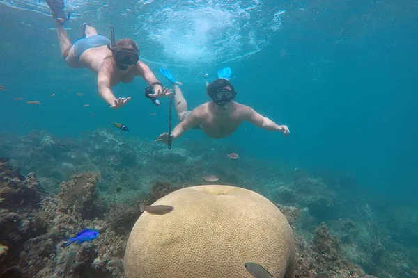 Punta Cana's Premier Private Snorkel & Seafood Cruise: A Floating Feast!