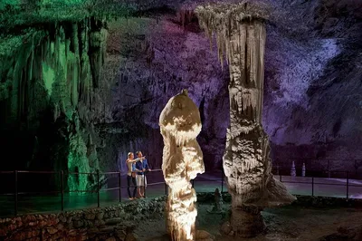 Uncover Slovenia's Gems: A Private Tour to Postojna Cave & Predjama Castle