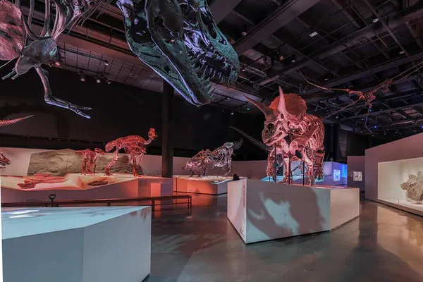 Houston Museum of Natural Science: General Admission