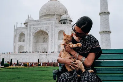 Discover Agra's Majesty: A Whirlwind Taj Mahal & Fort Car Tour