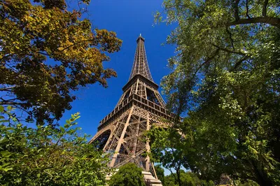 Unlock Paris & Versailles: A Royal Private Day Tour