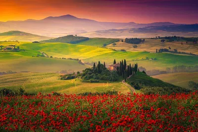 Tuscany Dream: Private Escape from Rome with Wine & Wonders!