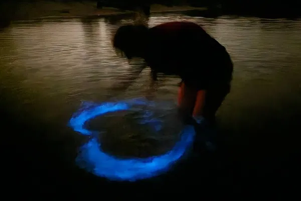 Orlando Bioluminescence Kayak Tour: Magic After Dark!