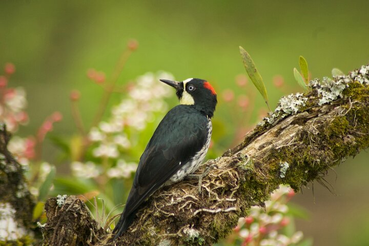 Experience Image img1