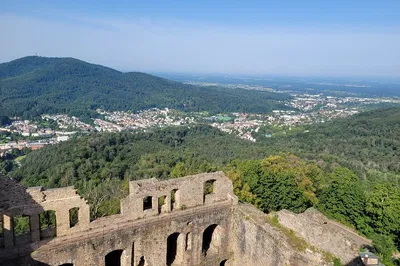 Image 3