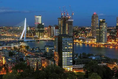 Discover Rotterdam's Secrets: An Exclusive Private Walking Tour