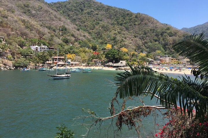 Beach in Puerto Vallarta: Jungle Hike & Hidden Coves!