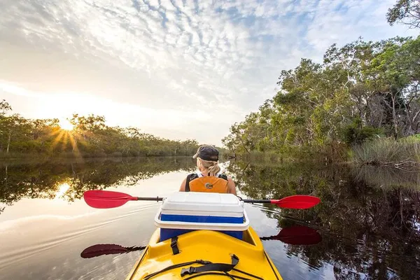 Noosa Everglades Kayak Tour: 6-Hour Guided Adventure