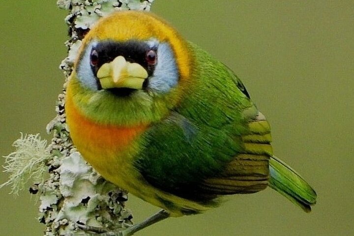 Experience Image img3