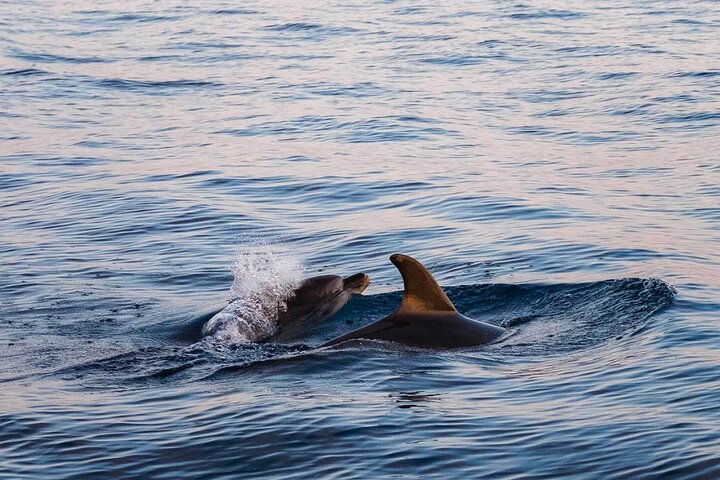 Experience Image img1