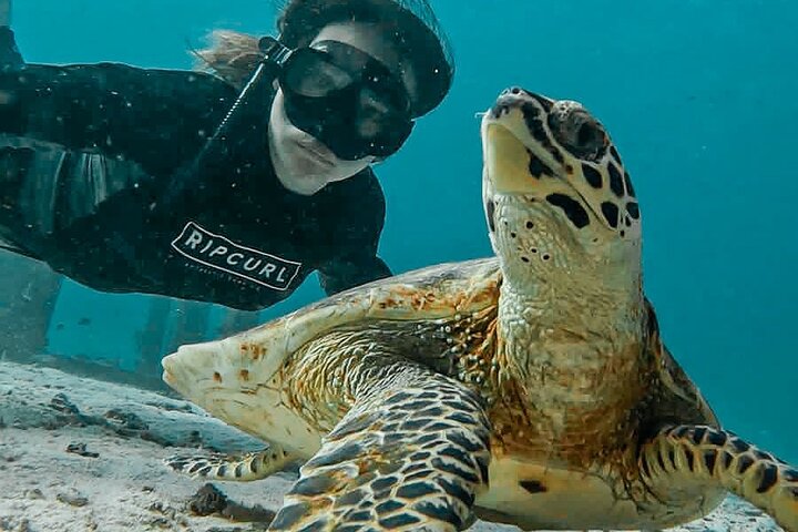 Discover Paradise: Unforgettable Similan Islands Private Tour