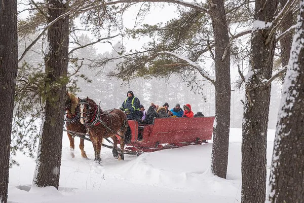 Magical Tremblant Sleigh Ride: A Winter Wonderland Adventure