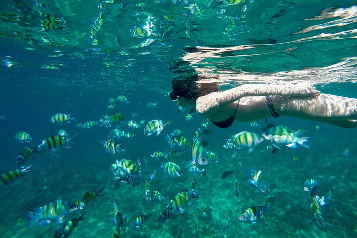 Unveiling Paradise: Deluxe Phi Phi Island Adventure from Phuket