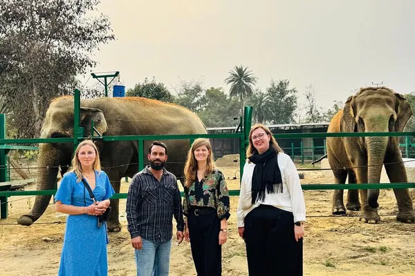 Delhi & Agra Adventure: Taj Mahal Meets Elephant Rescue!