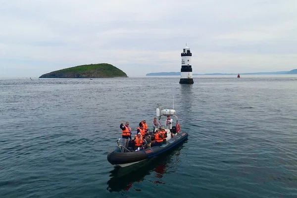 Conwy: Puffin Island Wildlife Boat Trip