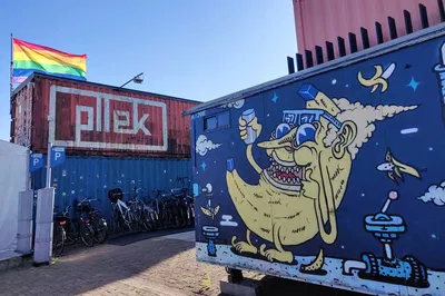 Amsterdam Noord: Unveiling Street Art & Hippie Culture with a Local Italian Guide