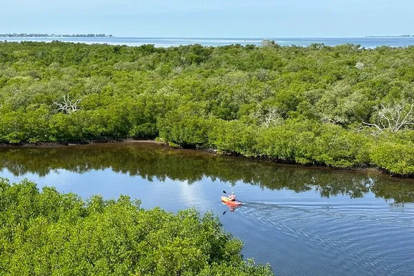 Robinson Preserve Kayak Adventure: Explore Mangrove Wonders & Wildlife!