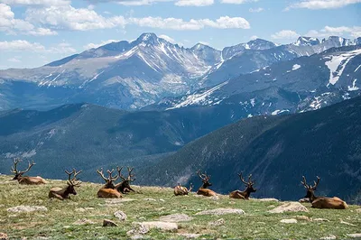 Private Rocky Mountain Tour: See Colorado's Best!