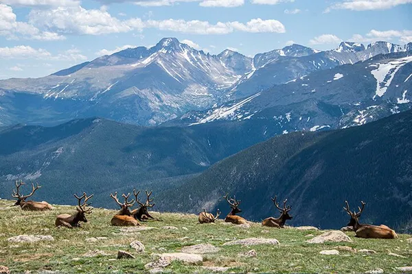 Private Rocky Mountain Tour: See Colorado's Best!