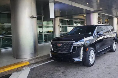 Miami's Artistic Flair: A Personalized Transfer Tour