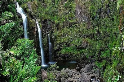 Unveiling Hana's Hidden Gems: A Luxurious Rainforest & Waterfall Road Trip