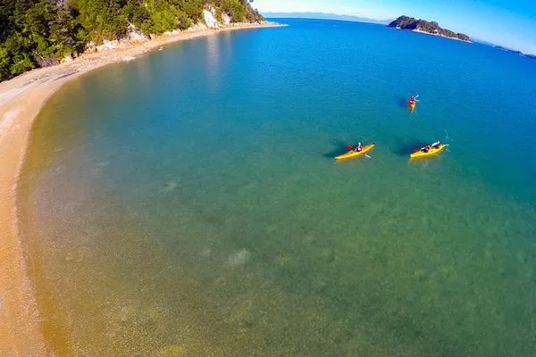 Abel Tasman Kayak Tour: Seals & Beaches