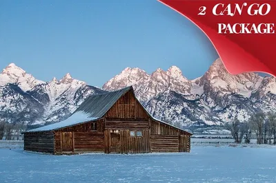 Yellowstone Winter Tour: 9-Day Small Group Adventure