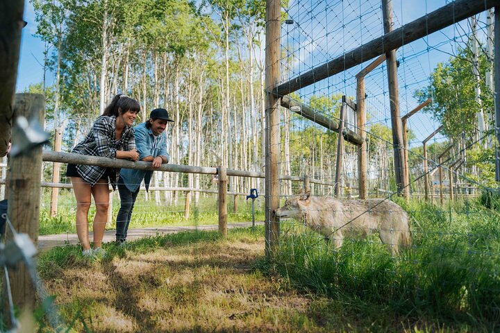 Experience Image img3