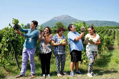 Unearth Pompeii & Savor Vesuvius: A Private Wine Tour