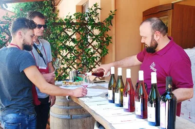 Savor Abruzzo: Wine Tasting Journey Through Coastal Vineyards