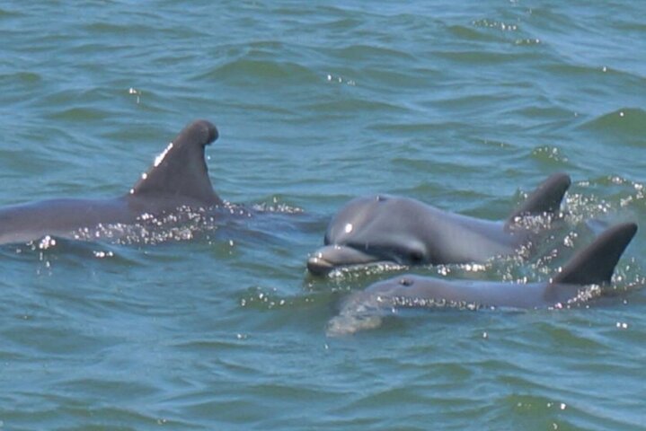 Experience Image img4